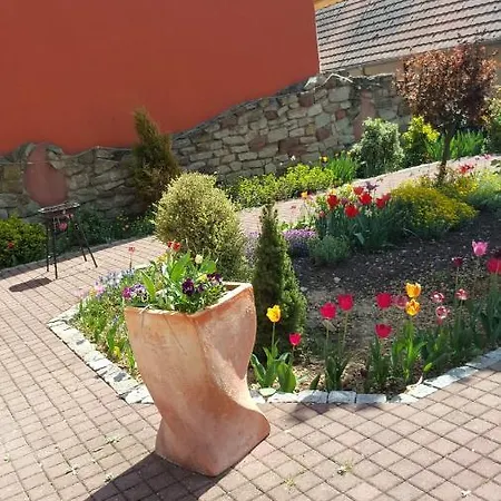 ' Le Lupulus' Bilwisheim