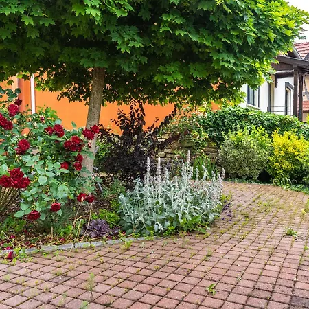 Appartement ' Le Lupulus' Bilwisheim