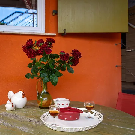 ' Le Lupulus' * Bilwisheim