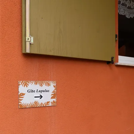 Apartment ' Le Lupulus' Bilwisheim