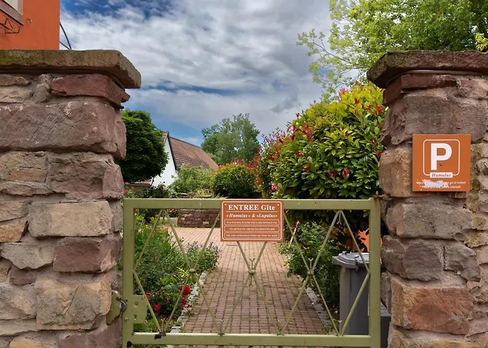 ' Le Lupulus' *