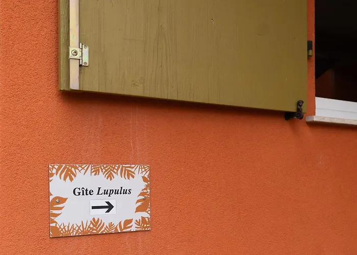 公寓 ' Le Lupulus' Bilwisheim